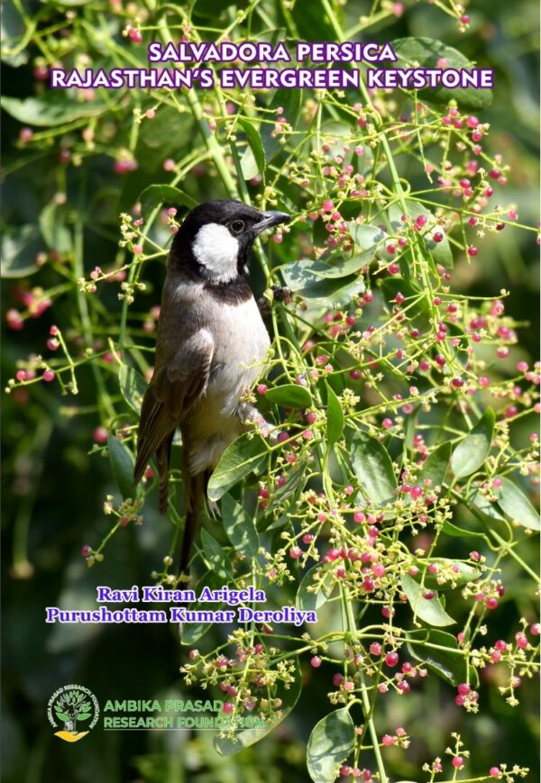 Salvadora persica: Rajasthan's Evergreen Keystone