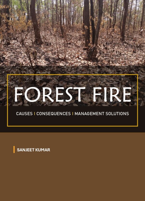 Forest Fire