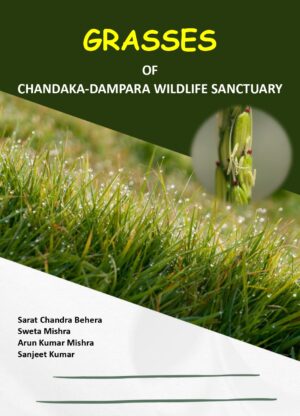 Grasses of Chandaka- Dampara Wildlife Sanctuary