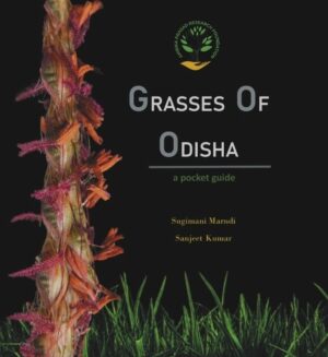 Grasses of Odisha - a pocket guide