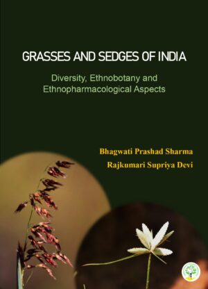 Grasses and Sedges of India: Diversity, Ethnobotany and Ethnopharmacological Aspects